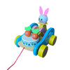 Preschooler Push Pull Toys