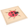 Wooden Lady Bug Montessori Puzzle