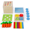 Montessori Educational Toys