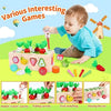 Montessori Learning Toys