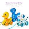 Montessori Animal Toys