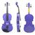 Montessori Toy Violin For Toddlers