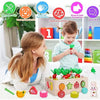 Montessori Learning Toys