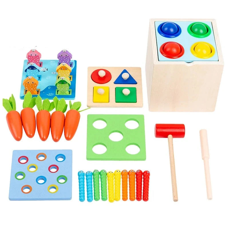 Montessori Toy Set