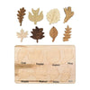 Leaf Puzzle Montessori