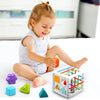 Shape Sorter Baby Toy