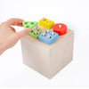 Montessori Educational Toys