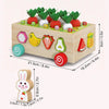 Montessori Learning Toys