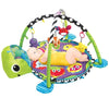 Baby Sensory Stimulation Toys