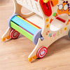 Baby Pull and Push Toys