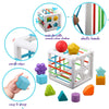 Shape Sorter Baby Toy