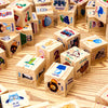 Wooden Toy Blocks Alphabet