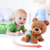 Hey Bear Sensory Toys