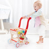 Baby Pull and Push Toys