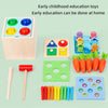 Montessori Toy Set