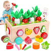 Montessori Learning Toys