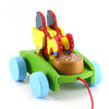 Push Pull Toys for Toddlers